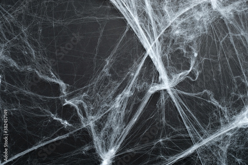 Creepy spider webs on black background. Happy halloween holiday concept.
