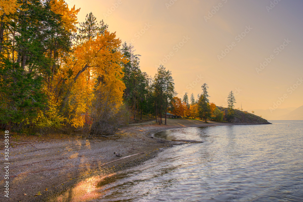 A beach with trees changing colors in the fall 