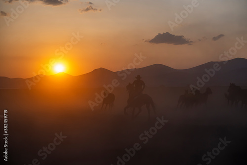 Wild horses run in foggy at sunset. Wild horses are running in dust. Near Hormetci Village  between Cappadocia and Kayseri  Turkey