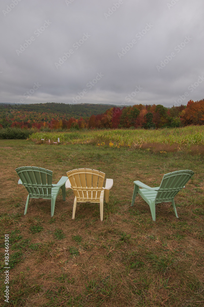 Fototapeta premium Relaxing views of corn maze and foliage during autumn in Maine.