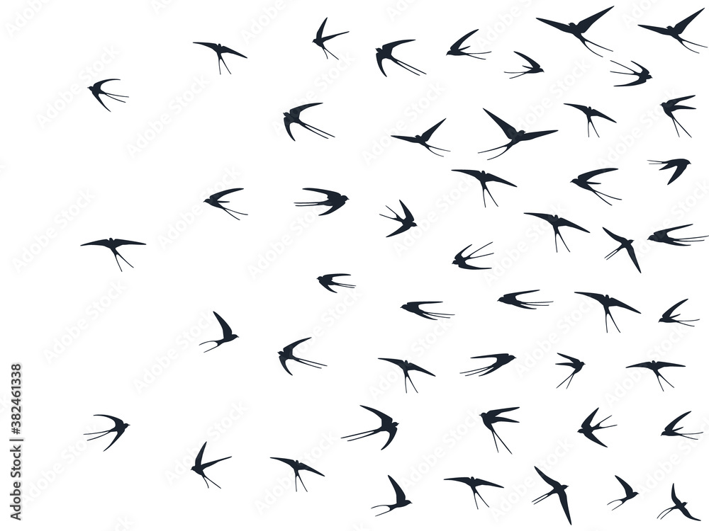 Flying martlet birds silhouettes vector illustration. Migratory martlets bevy isolated on white. Flying martlet birds silhouettes vector illustration. Migratory martlets bevy isolated on white.