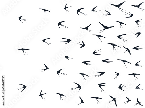Flying martlet birds silhouettes vector illustration. Migratory martlets bevy isolated on white. 