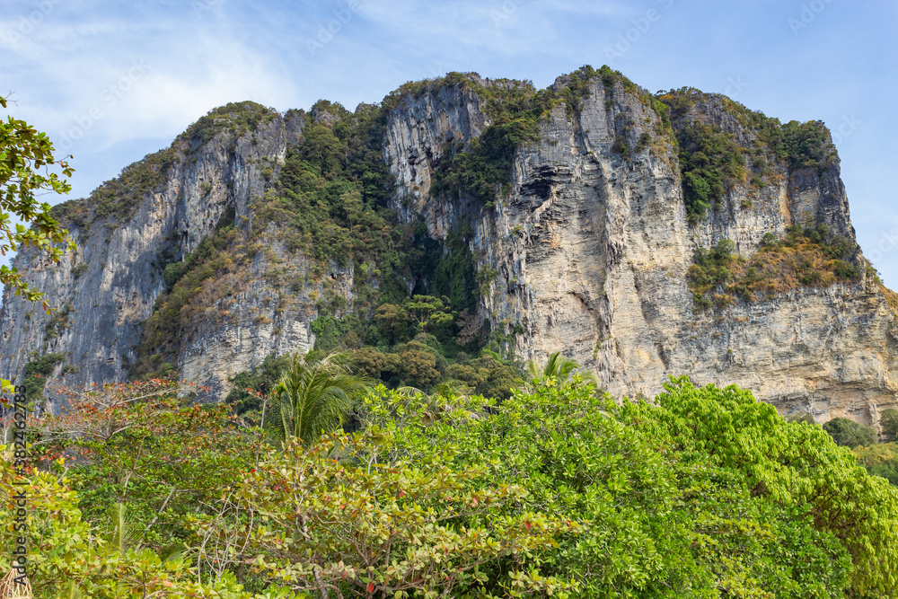 tree-covered rock, in the foreground tropical plants and trees, against the blue sky