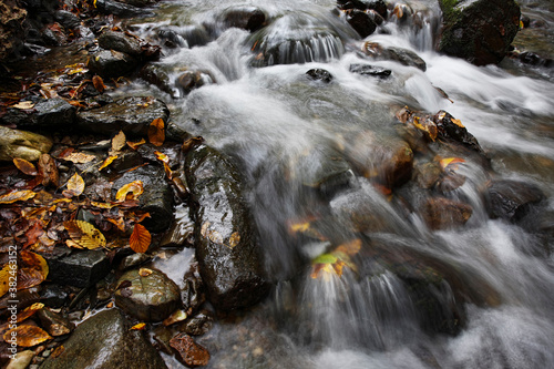 Mountain stream in forest with cascades