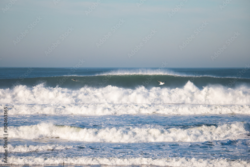 Fototapeta premium Big waves break at Ocean Beach, San Francisco