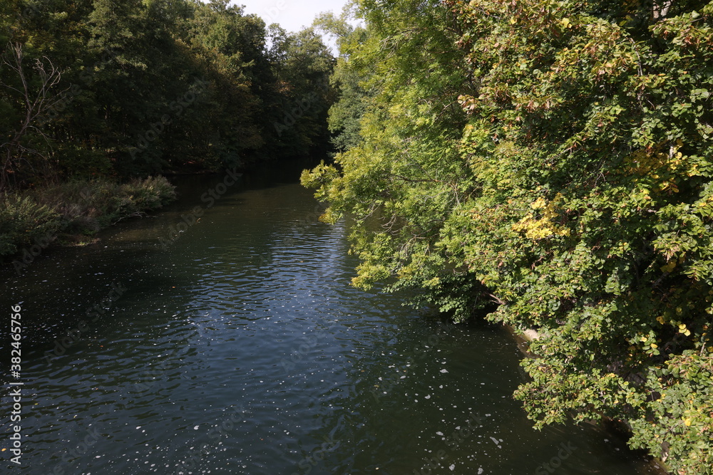 A quiet river with overgrown green banks A quiet river with overgrown green banks
