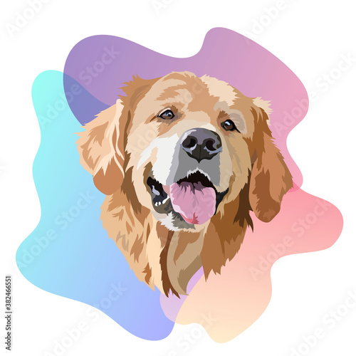 Golden Labrador Retriever Head Vector Illustration. Trend