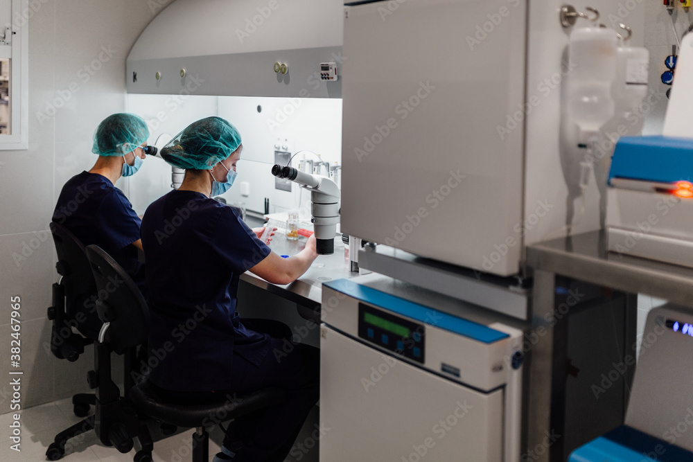 Working in a Professional Laboratory