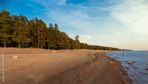 Coast of a Gulf of Finland