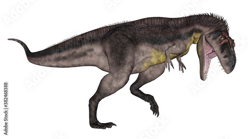 Tyrannotitan dinosaur roaring isolated in white background - 3D render