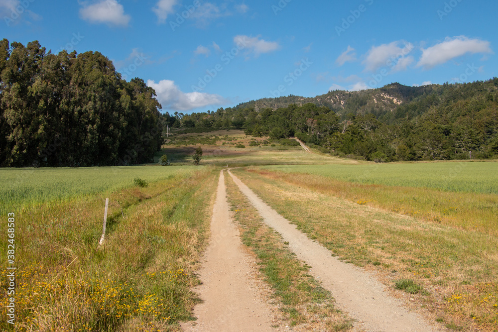 A dirt road in the countryside near Pescadero, California