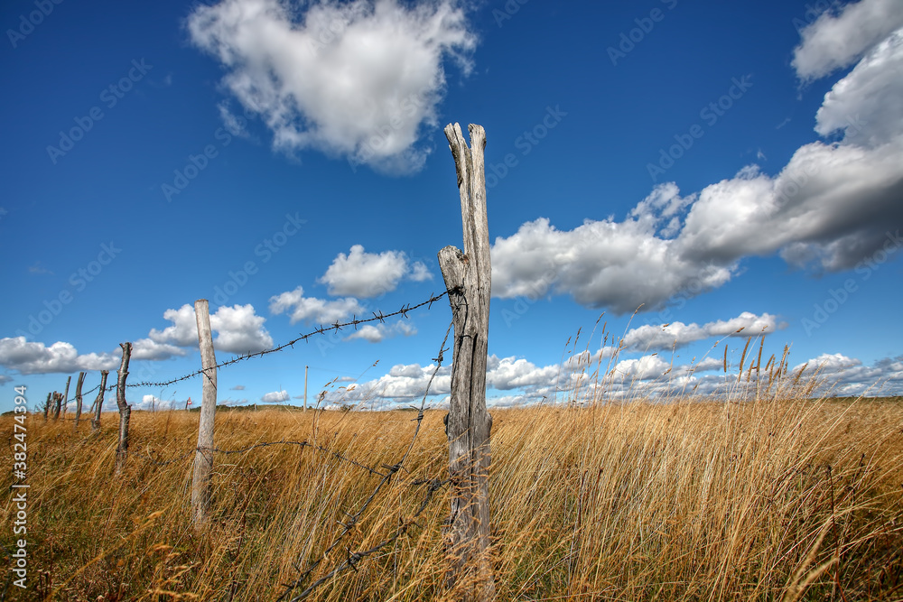 Fototapeta premium Wonderful landscape in mountains. 