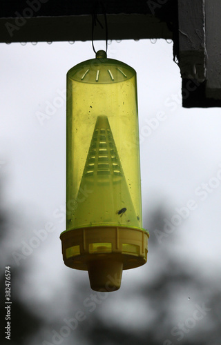 Yellow jacket insect trap