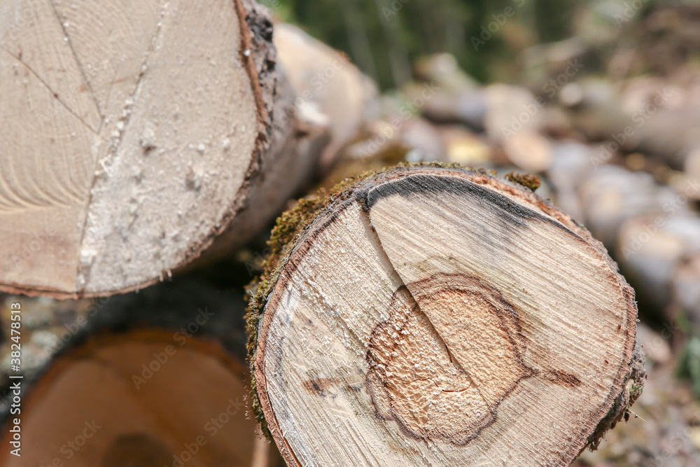 wooden sawmill pattern, stack of old trunk with cracked wood closeup wooden sawmill pattern, stack of old trunk with cracked wood closeup