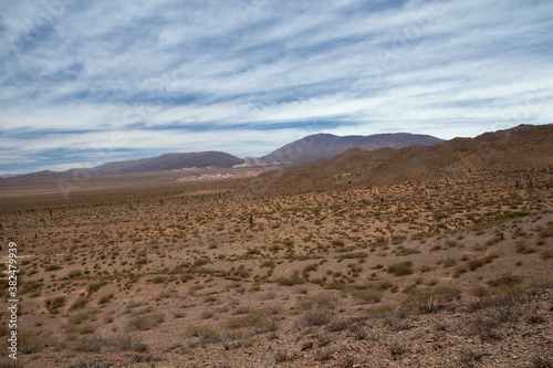 Natural texture. Desert landscape. View of the arid land, valley, vegetation and mountains in the horizon under a beautiful blue sky with clouds.