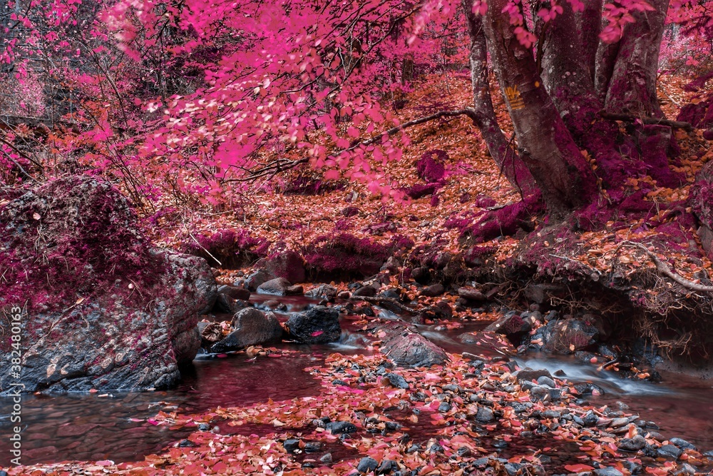 Mountain creek in the fall infrared Mountain creek in the fall infrared