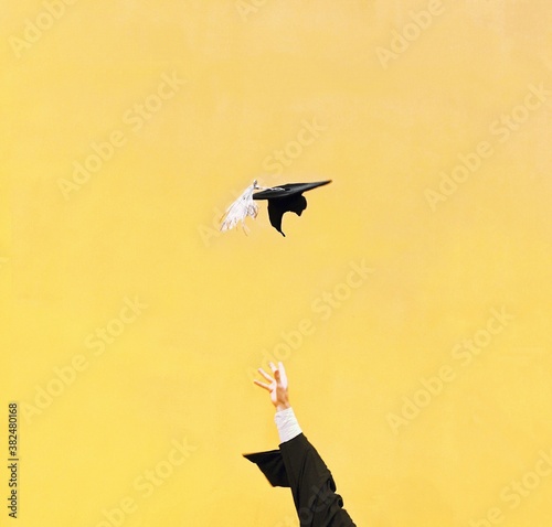 graduation celebration