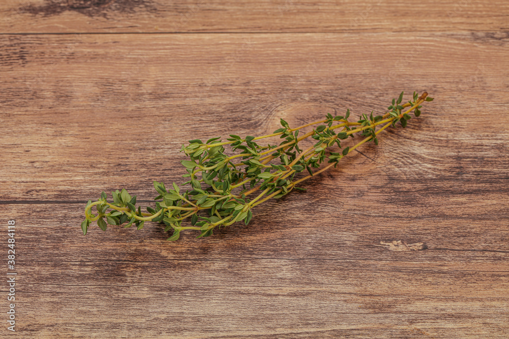 Aroma Fresh green thyme branch Aroma Fresh green thyme branch