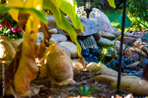 fish pond
