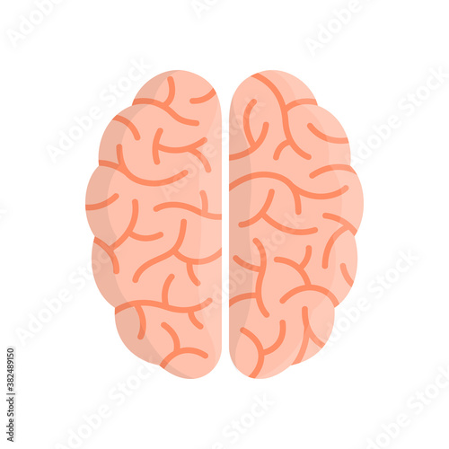 Intellectual Ability Concept. Brain Top View.