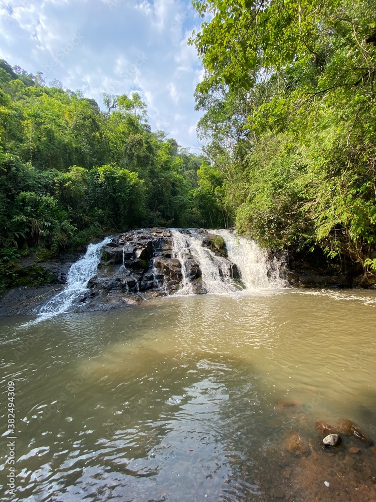 Fototapeta premium waterfall in the forest