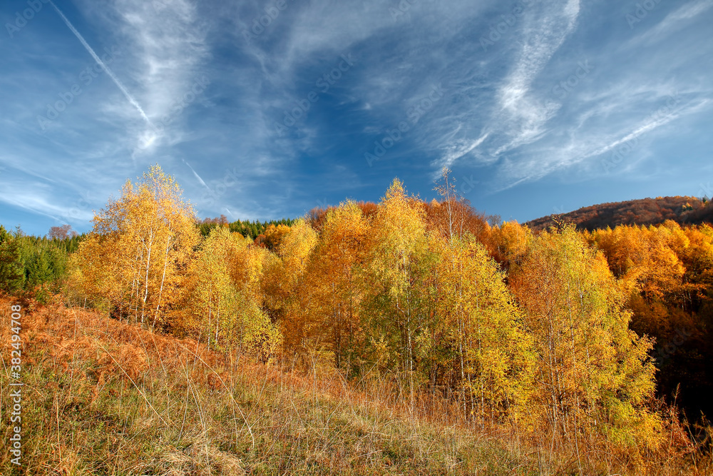 Fototapeta premium Colorful autumn in the mountains
