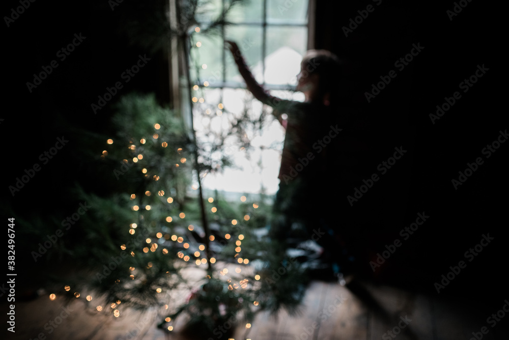 boy setting up christmas tree boy setting up christmas tree