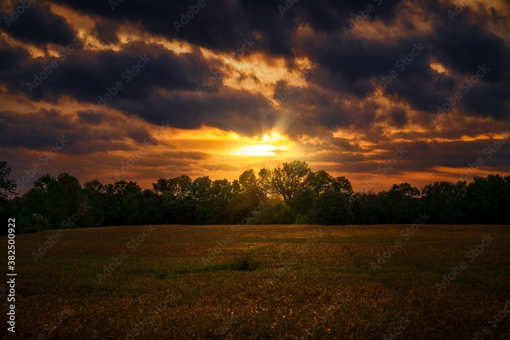 This nature image shows a beautiful sun setting over a remote agricultural field landscape.  