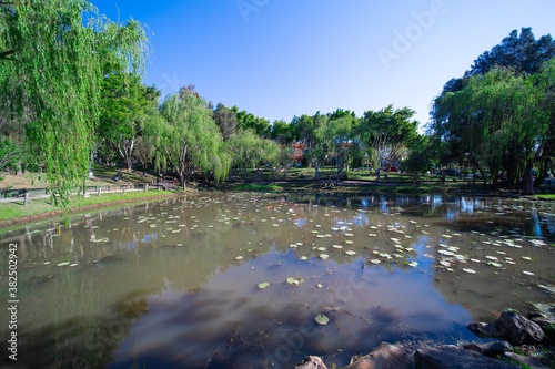 Beautifully vibrant colourful and Landscaped Gardens in a Buddhist temple in Wollongong NSW Australia photo