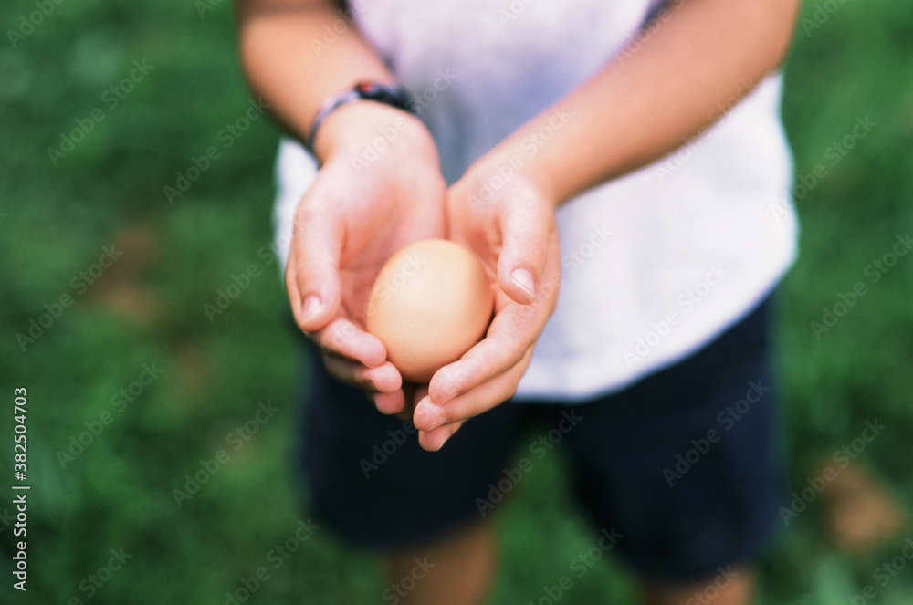boy holding an egg boy holding an egg
