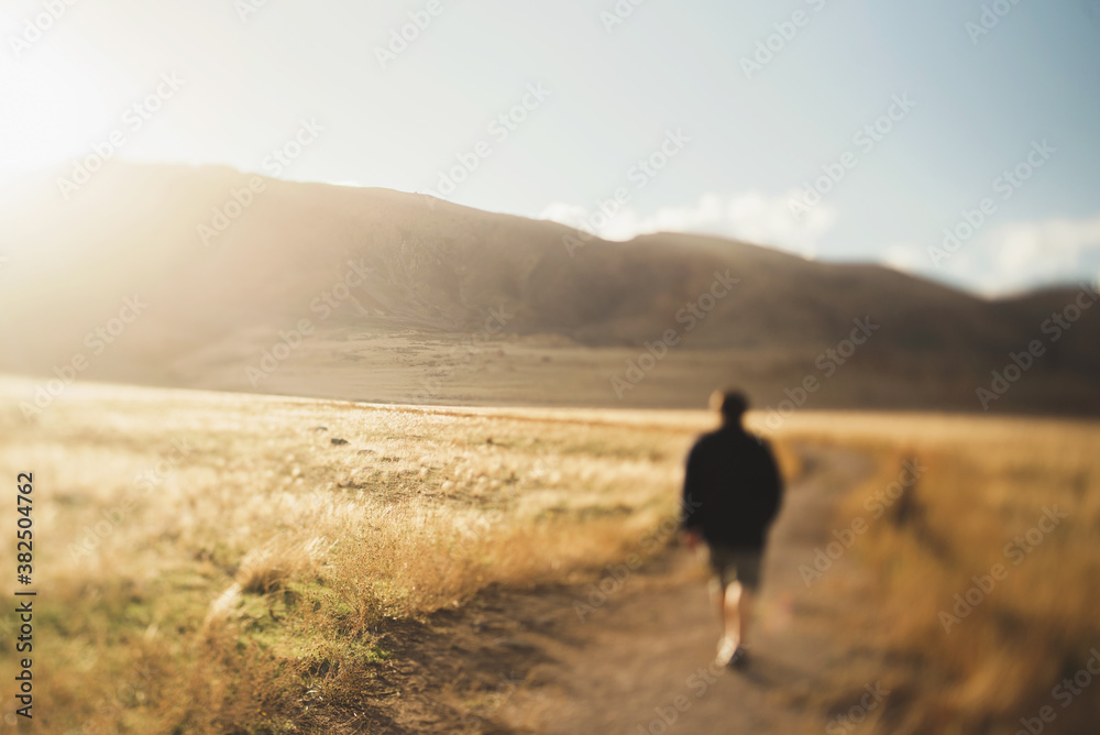 A man walking down a desert path