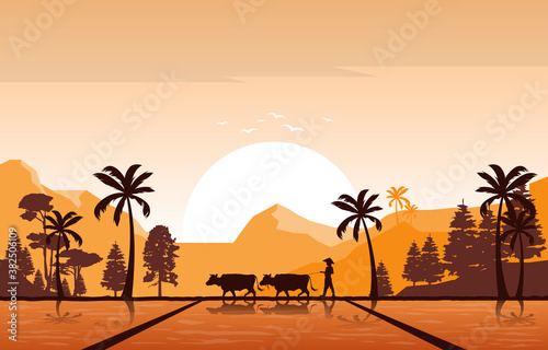 Golden Sunrise in Asian Rice Field Paddy Plantation Agriculture Illustration