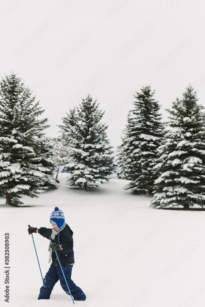 Happy little boy cross-country skiing in the snowy woods Happy little boy cross-country skiing in the snowy woods