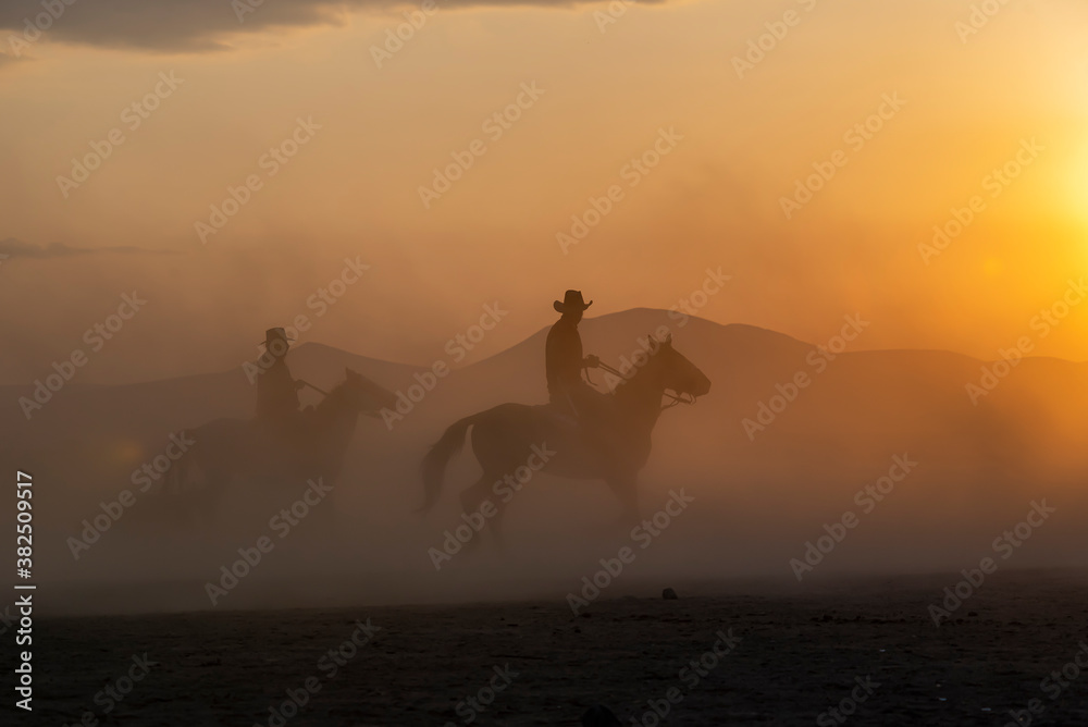 Wild horses run in foggy at sunset. Near Hormetci Village, between Cappadocia and Kayseri, Turkey