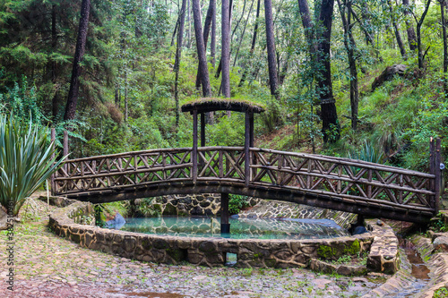 Puente en el bosque  photo