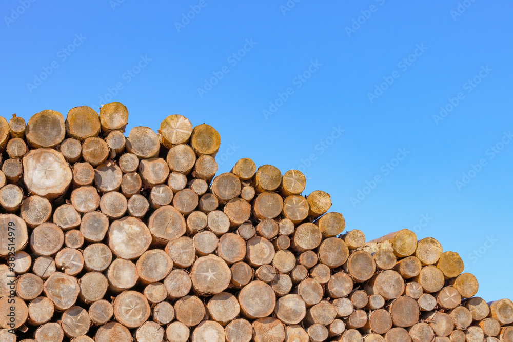 材木　空　素材