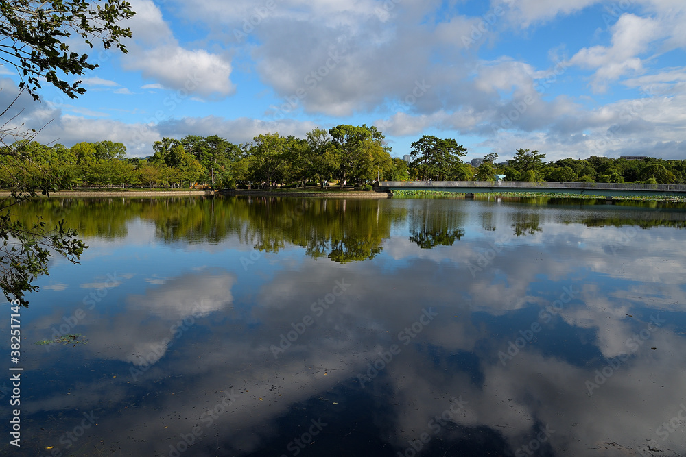池の水面に青空と雲が映り込んでいる風景