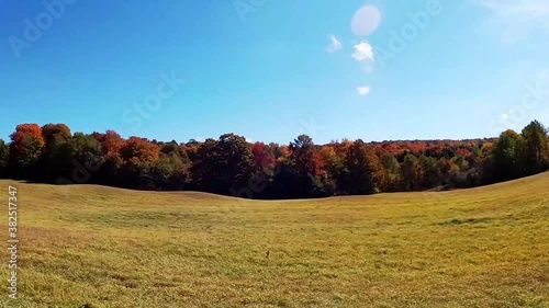 Fall Fields and Foliage
