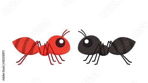 Ant vector. Black and red ant on white background. free space for text. copy space.