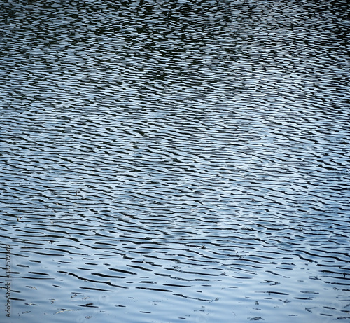 abstract natural background water ripples from the wind, selective focus