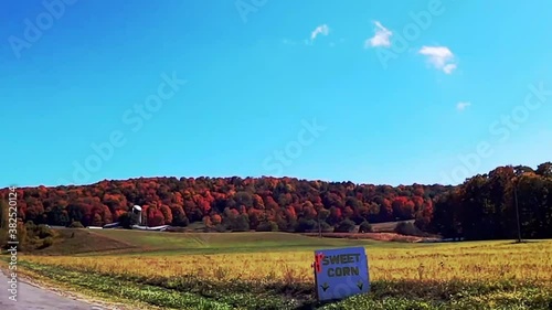 Fall Field and Colorful Trees