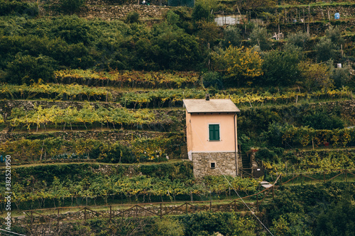 Cinqueterre Outpost on a Hill
