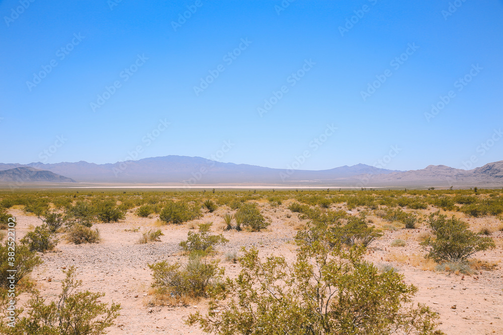 Desert, Las Vegas, Nevada
