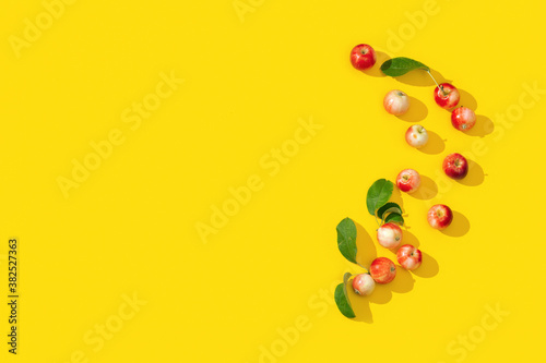 Frame from ripe small red apples and green leaves, food concept. photo