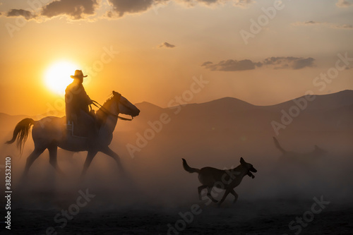 Wild horses run in foggy at sunset. Near Hormetci Village  between Cappadocia and Kayseri  Turkey