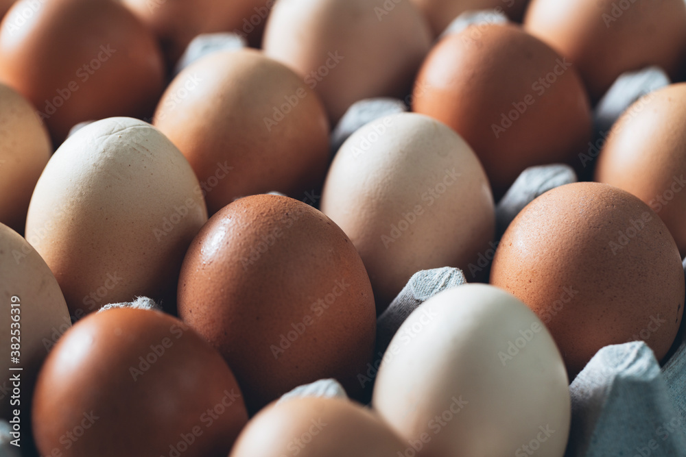 Eggs Eggs