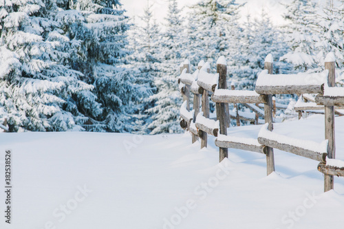 Winter Landscape With Wooden Fence And Snowy Pines photo