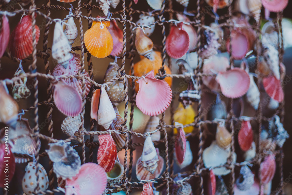 Colorful seashells Colorful seashells