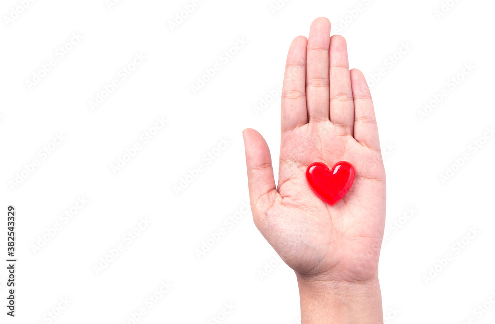 Red heart in woman's hand, on isolate white background. Red heart in woman's hand, on isolate white background.
