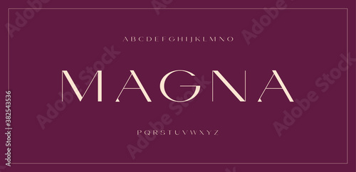 Luxury modern sans serif font, elegant contrast extended clean letter set magna typeface photo
